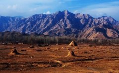 2025文化景象形象：遗产重生 文艺破圈 青